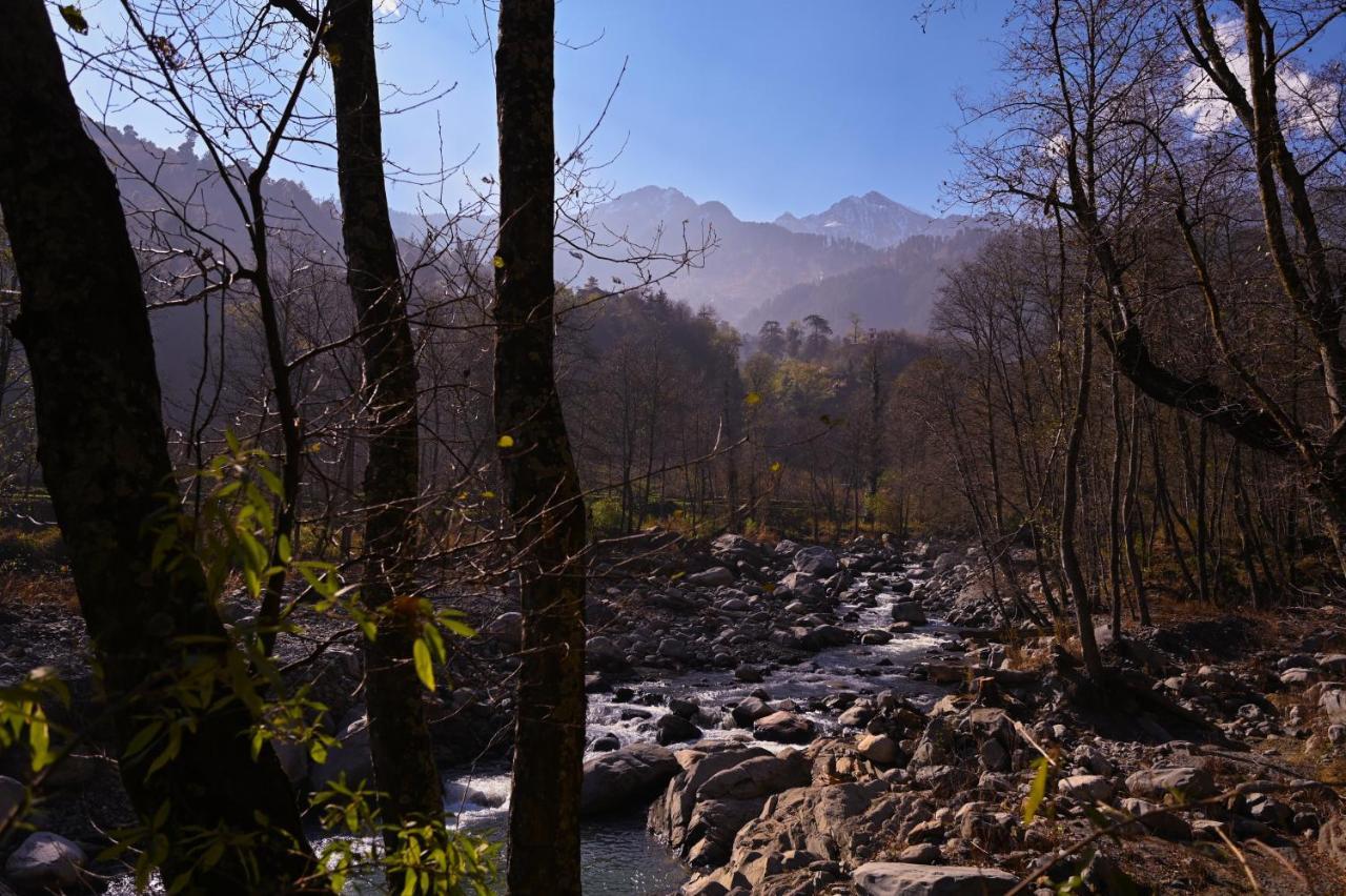 بيت شباب Zostel Dobhi, Manali Nagar  المظهر الخارجي الصورة