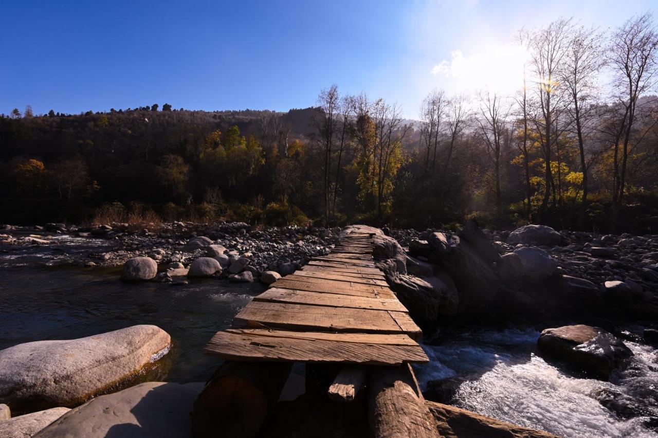 بيت شباب Zostel Dobhi, Manali Nagar  المظهر الخارجي الصورة
