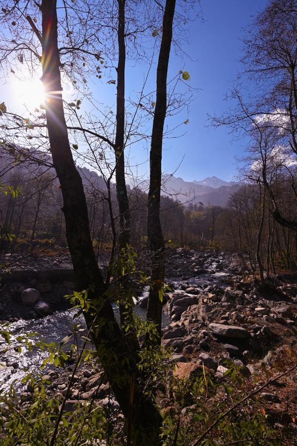 بيت شباب Zostel Dobhi, Manali Nagar  المظهر الخارجي الصورة