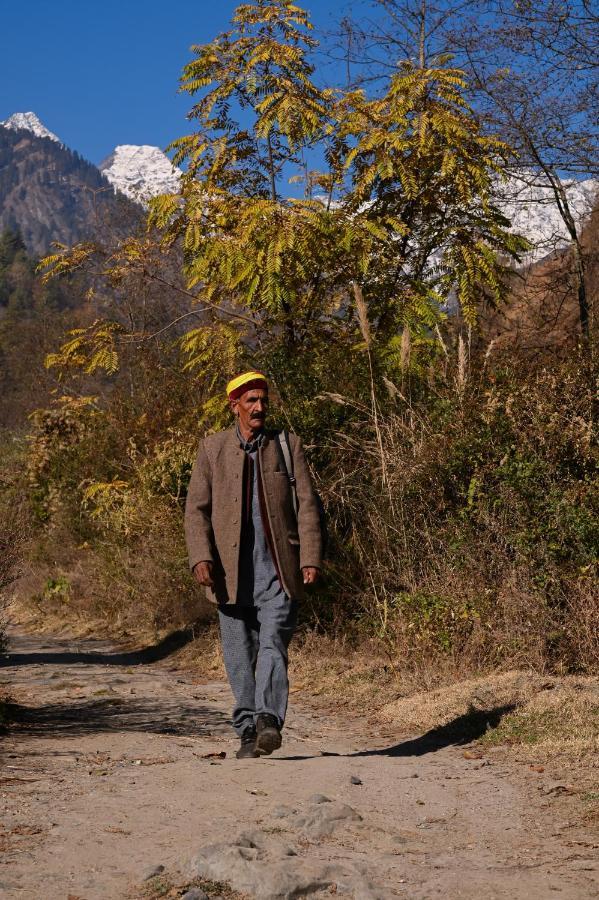 بيت شباب Zostel Dobhi, Manali Nagar  المظهر الخارجي الصورة